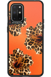 Sun Purr 2.0 - OnePlus 8T