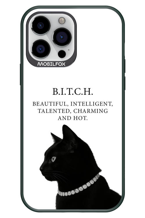 B. i. t. c. h. - Apple iPhone 13 Pro Max