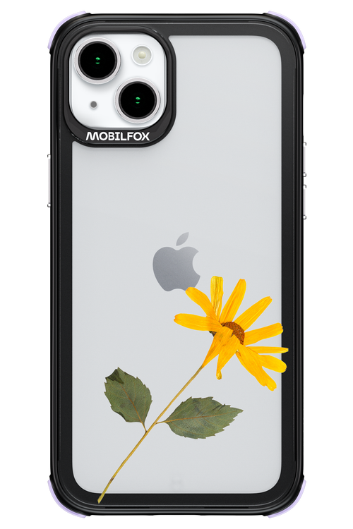 Pressed Flower - Apple iPhone 15 Plus