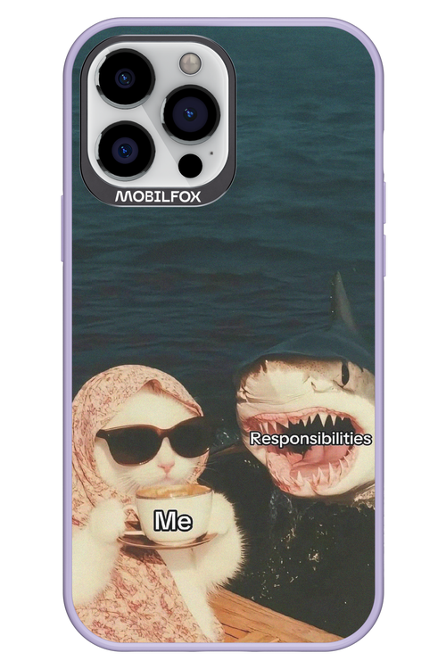 Responsibilities - Apple iPhone 13 Pro Max