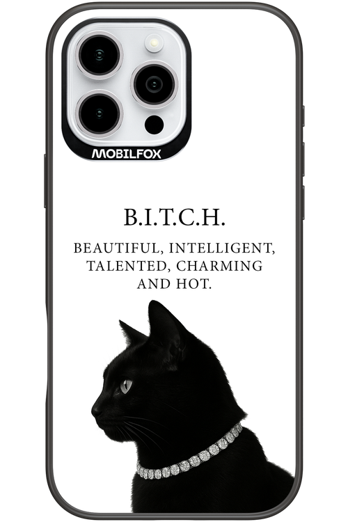 B. i. t. c. h. - Apple iPhone 16 Pro Max