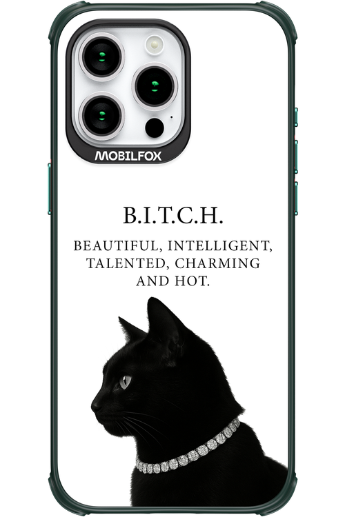 B. i. t. c. h. - Apple iPhone 15 Pro Max