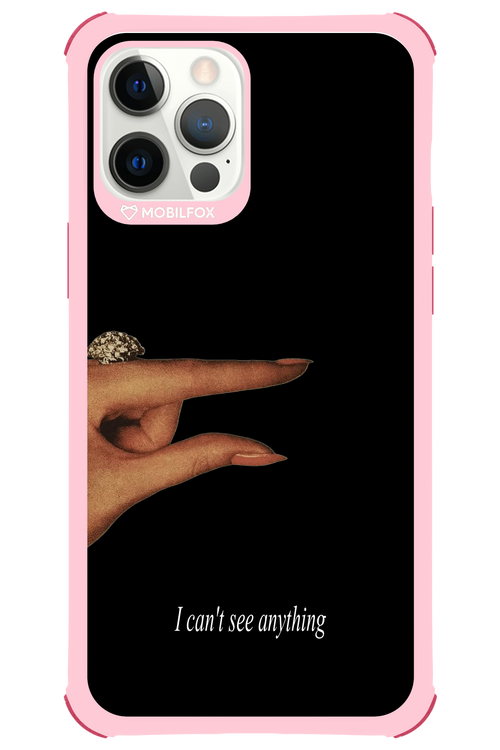 I can't see anything 2.0 - Apple iPhone 12 Pro Max