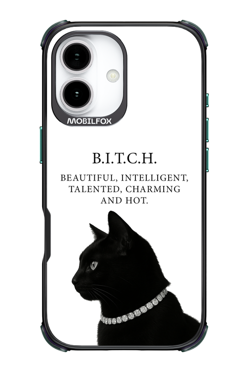 B. i. t. c. h. - Apple iPhone 17