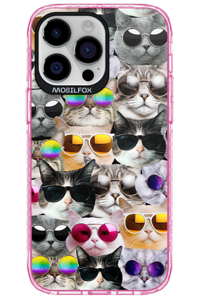 Cat World - Apple iPhone 14 Pro Max