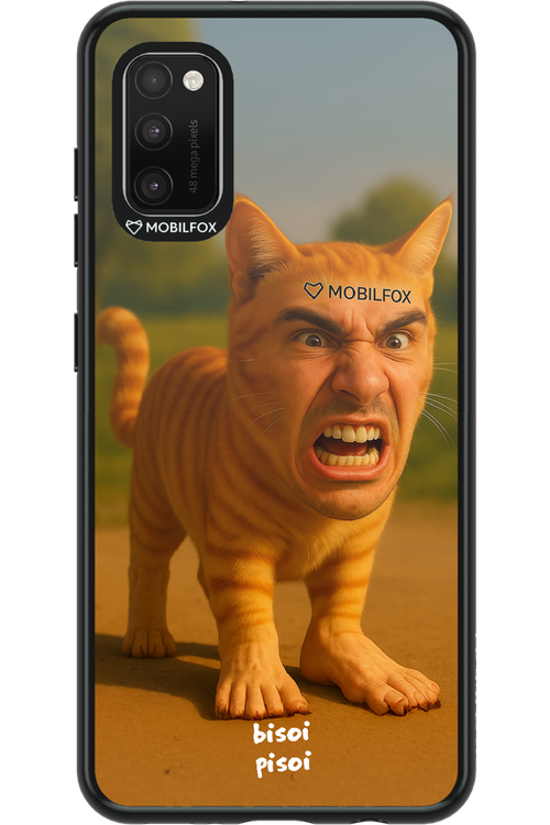 Bisoi Pisoi - Samsung Galaxy A41