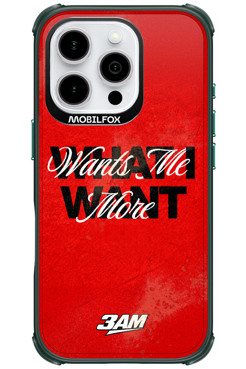 WHAT I WANT 2.0 - Apple iPhone 16 Pro