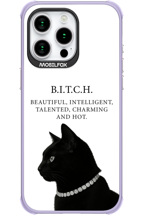 B. i. t. c. h. - Apple iPhone 15 Pro Max