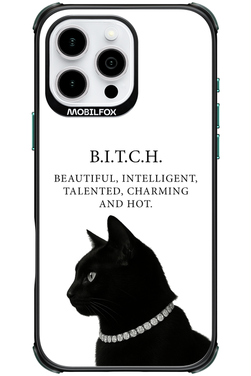 B. i. t. c. h. - Apple iPhone 16 Pro Max