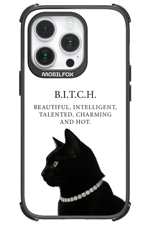 B. i. t. c. h. - Apple iPhone 14 Pro