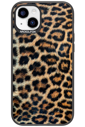 Leopard 2.0 - Apple iPhone 15 Plus