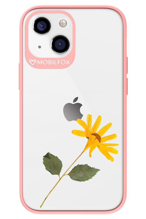 Pressed Flower - Apple iPhone 13 Mini