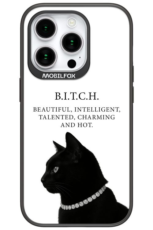 B. i. t. c. h. - Apple iPhone 15 Pro