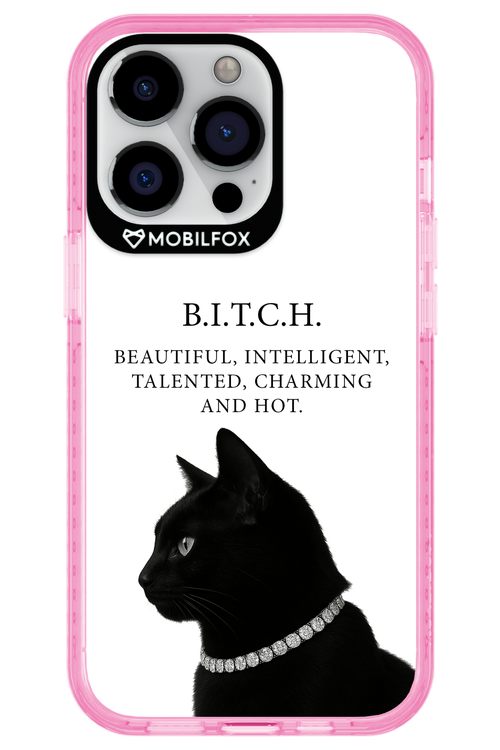 B. i. t. c. h. 2.0 - Apple iPhone 13 Pro