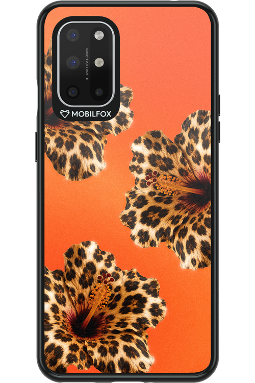 Sun Purr 2.0 - OnePlus 8T
