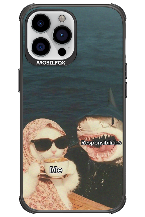 Responsibilities - Apple iPhone 13 Pro Max