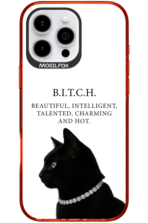 B. i. t. c. h. - Apple iPhone 16 Pro Max