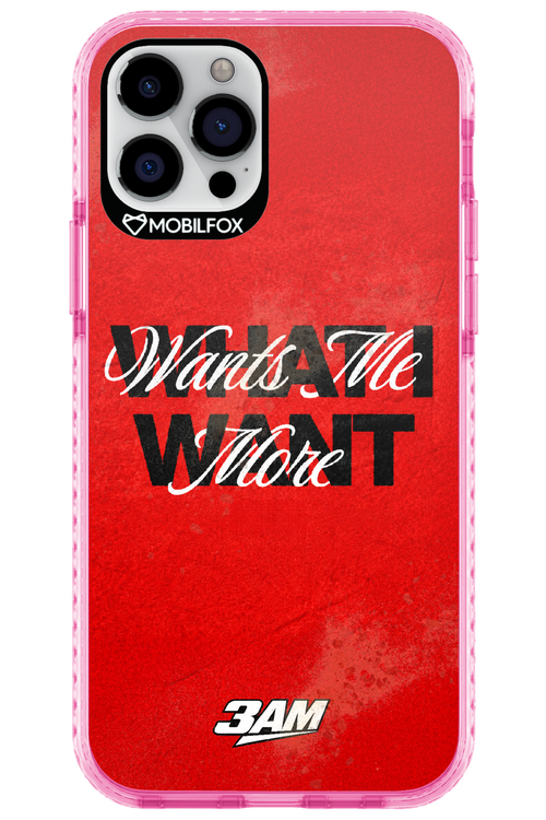 WHAT I WANT 2.0 - Apple iPhone 12 Pro