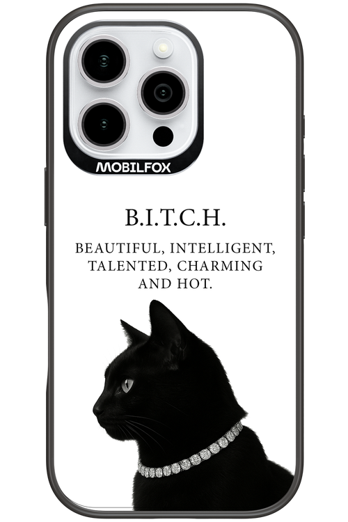 B. i. t. c. h. 2.0 - Apple iPhone 16 Pro