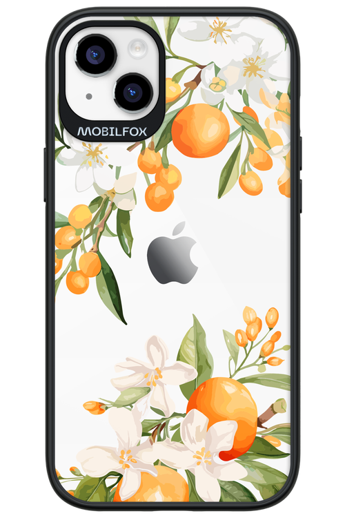 Amalfi Orange 2.0 - Apple iPhone 14 Plus