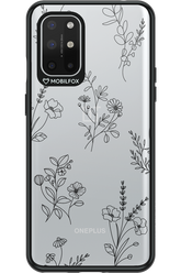 Bouquet - OnePlus 8T