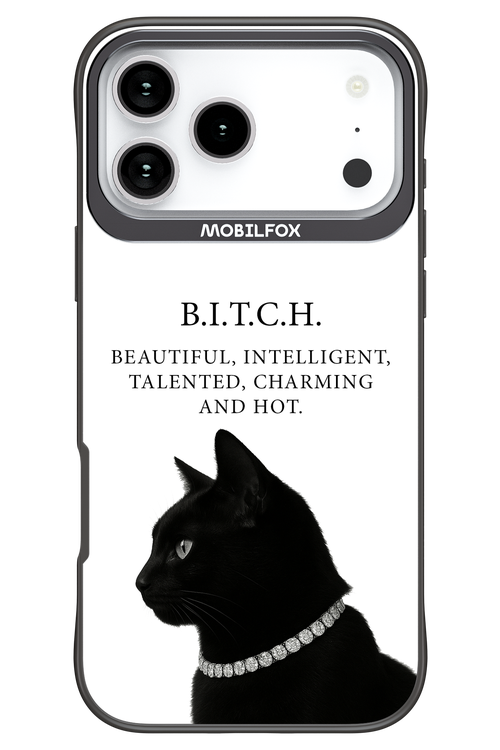 B. i. t. c. h. 2.0 - Apple iPhone 17 Pro Max