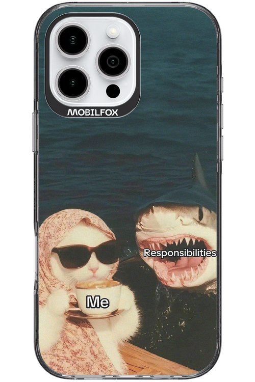 Responsibilities - Apple iPhone 16 Pro Max