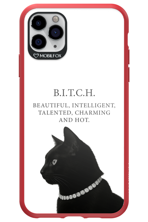 B. i. t. c. h. 2.0 - Apple iPhone 11 Pro Max