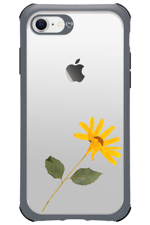 Pressed Flower - Apple iPhone 7