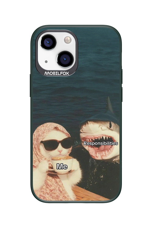 Responsibilities - Apple iPhone 13 Mini