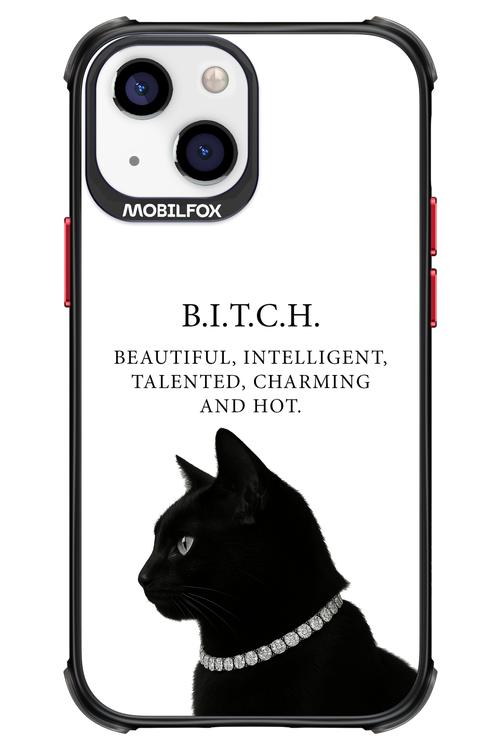 B. i. t. c. h. 2.0 - Apple iPhone 13 Mini