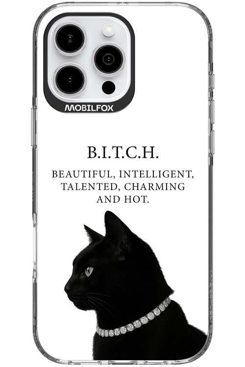 B. i. t. c. h. - Apple iPhone 16 Pro Max