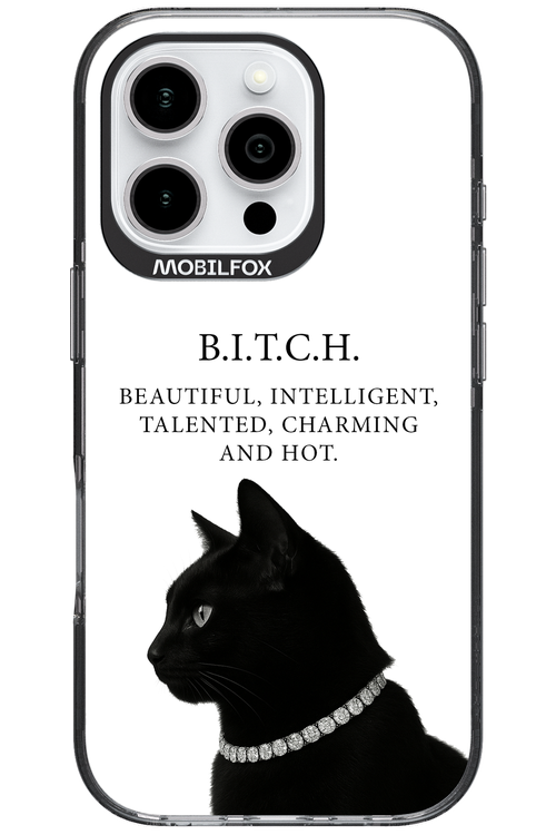 B. i. t. c. h. 2.0 - Apple iPhone 16 Pro
