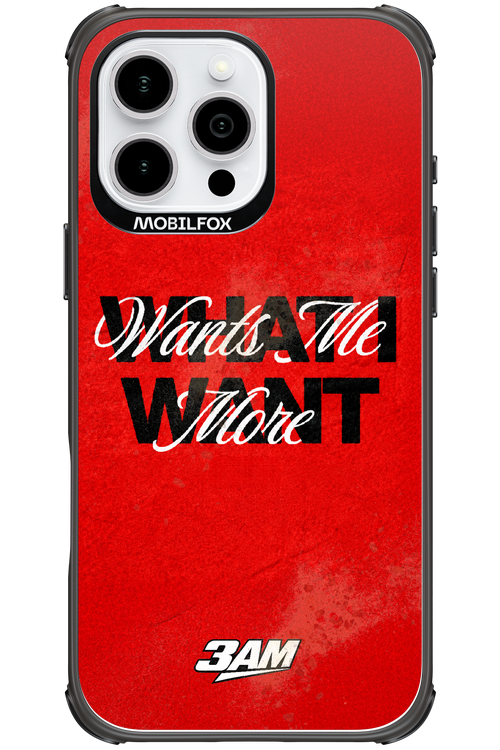 WHAT I WANT 2.0 - Apple iPhone 16 Pro Max