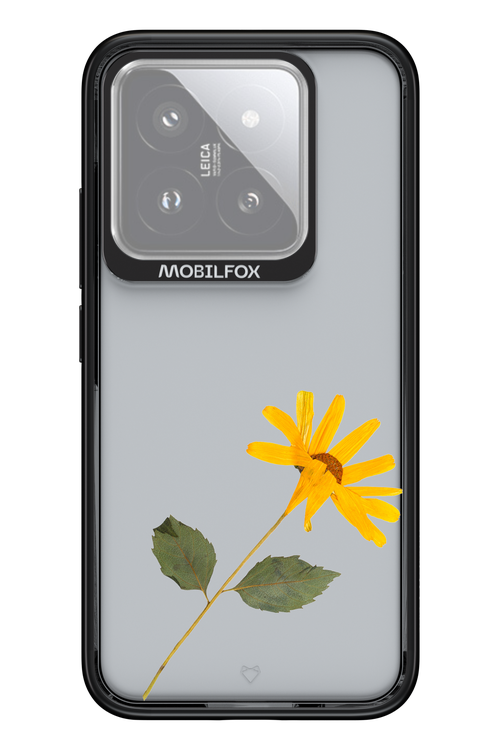Pressed Flower - Xiaomi 14