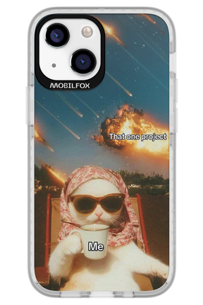 That one project - Apple iPhone 13 Mini