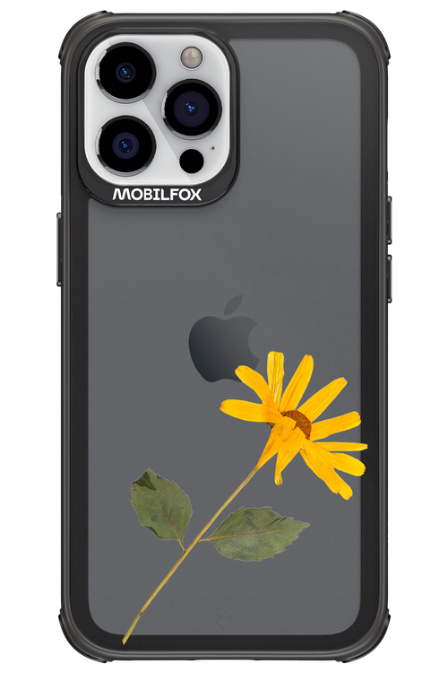 Pressed Flower - Apple iPhone 13 Pro Max