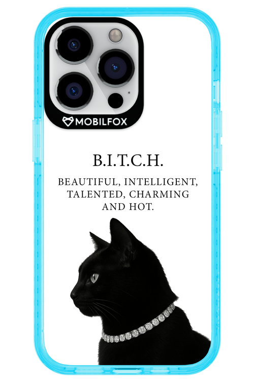 B. i. t. c. h. 2.0 - Apple iPhone 13 Pro