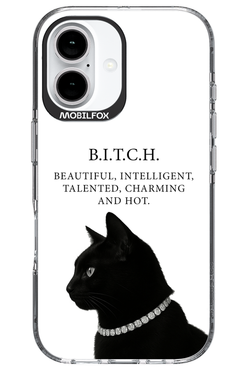 B. i. t. c. h. - Apple iPhone 16