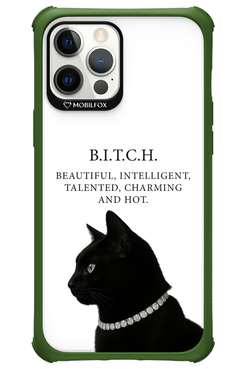 B. i. t. c. h. - Apple iPhone 12 Pro Max