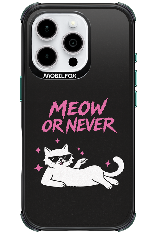 MEOW OR NEVER 2.0 - Apple iPhone 16 Pro