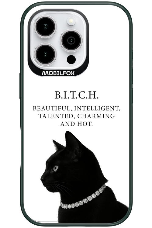 B. i. t. c. h. 2.0 - Apple iPhone 16 Pro