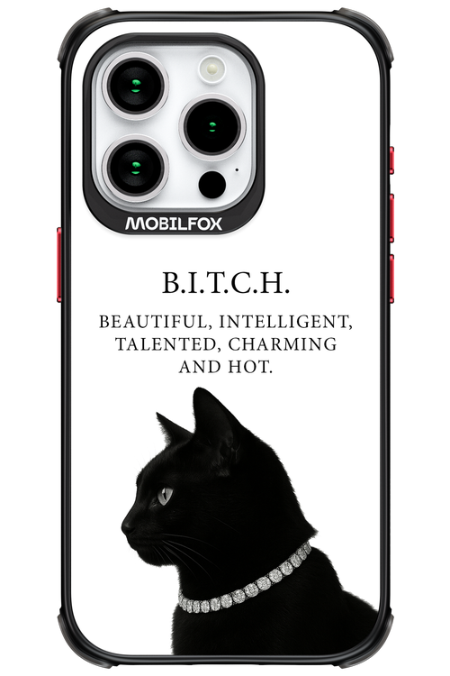 B. i. t. c. h. - Apple iPhone 15 Pro