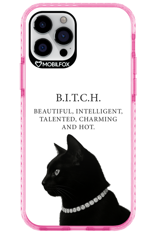 B. i. t. c. h. - Apple iPhone 12 Pro