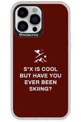 Have You Ever - Apple iPhone 13 Pro Max