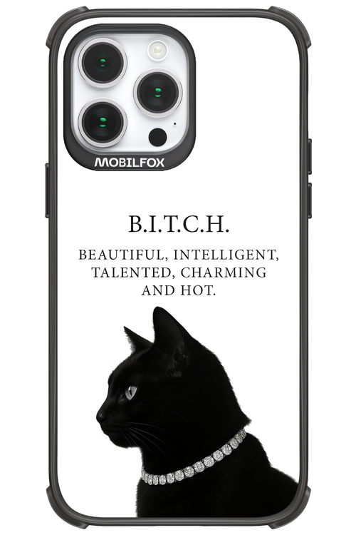 B. i. t. c. h. - Apple iPhone 14 Pro Max