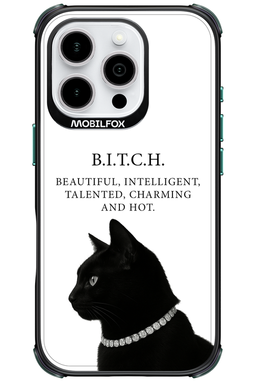 B. i. t. c. h. 2.0 - Apple iPhone 16 Pro