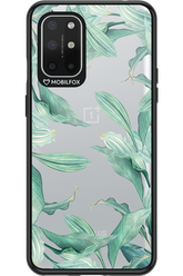 Greenpeace 2.0 - OnePlus 8T