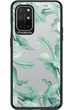 Greenpeace 2.0 - OnePlus 8T