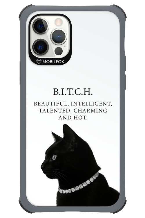 B. i. t. c. h. - Apple iPhone 12 Pro